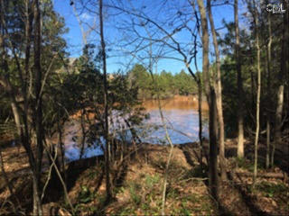 223 Ascot Glen Rd, Irmo, SC 29063-7959