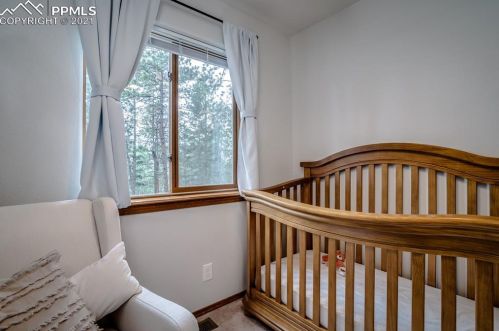 1148 Frst Hl Rd, Woodland Park CO 80863-1219 exterior