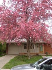 65 34th St, Boulder CO  80305-3427 exterior