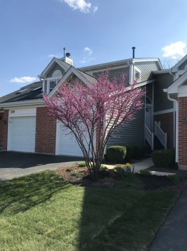 272 Camelot Ln, Carol Stream IL  60188-3612 exterior