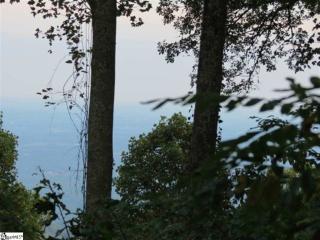 43 The Cliffs Pkwy, Landrum, SC 29356-3223