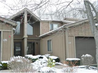 632 Cherry Park Oval, Aurora, OH 44202-8707