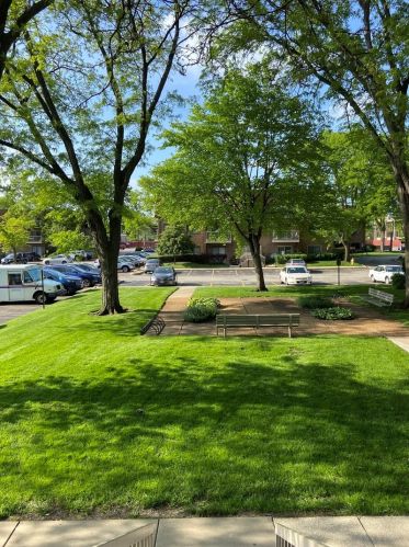 613 Central Rd, Mount Prospect, IL 60056-2399