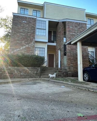 9601 Forest Ln, Dallas TX  75243-0934 exterior