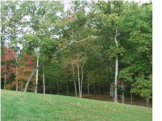 8119 Harrison Bay Rd, Harrison, TN 37341-6942