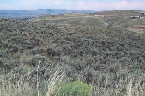 265 20th St, Craig, CO 81625-8905