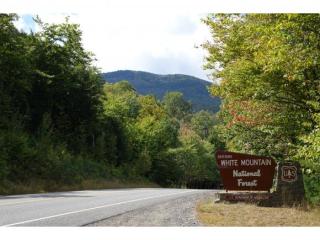 5 Evergreen Dr, Shelburne, NH 03581-1355