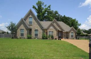 480 Blackankle Dr, Somerville, TN 38060-3524