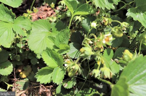 1954 Pickering Trl, Lancaster PA exterior