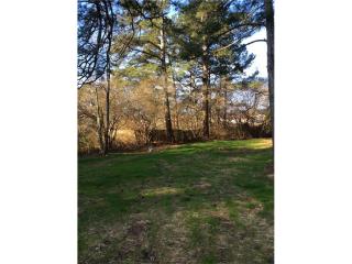 433 New Light Rd, Holly Springs, GA 30115-4308