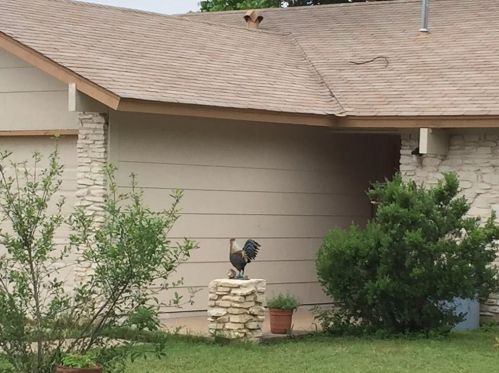 2622 Carlow Dr, Austin TX  78745-4300 exterior