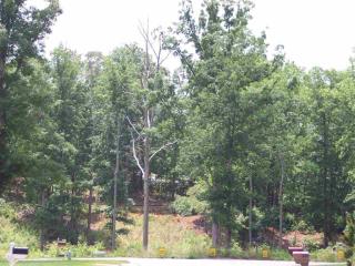 342 Wild Azalea Dr, Inman, SC 29349-7020