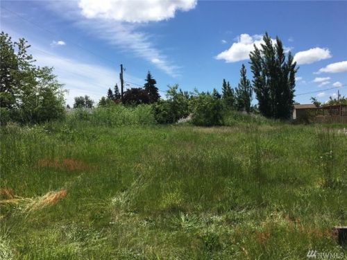 132 168th St, Elk Plain, WA 98387-8225