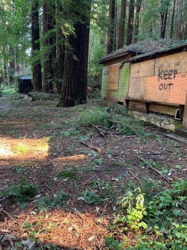 234 Monte Vista Ln, Big Basin, CA 95006-9505