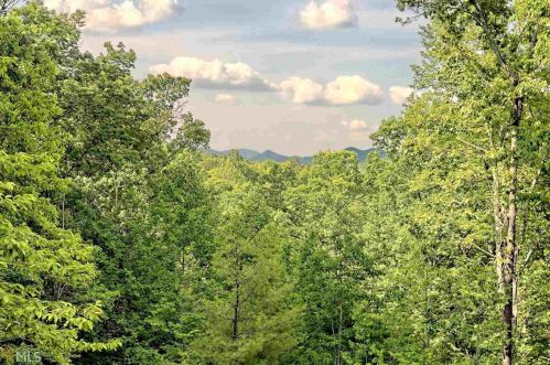 348 Walnut Grove Ln, Tiger, GA 30576-0016
