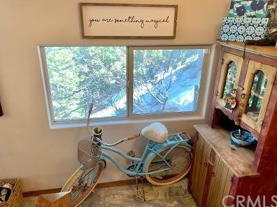 574 Rose Ln, Twin Peaks, CA 92391-0454