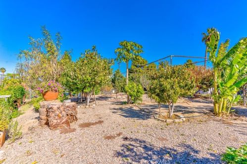 4890 Crest Ave, Riverside CA  92503-2942 exterior