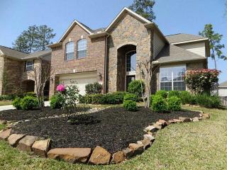 23 Fraiser Fir Pl, Spring TX  77389-5559 exterior