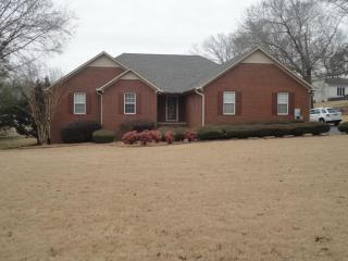 243 Mitchell St, Henderson, TN 38340-1533