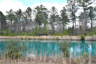 155 Topside, Bellinger, SC 29927-2943