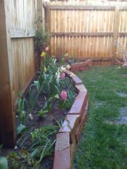 6914 48th Ave, Denver CO  80033-3541 exterior