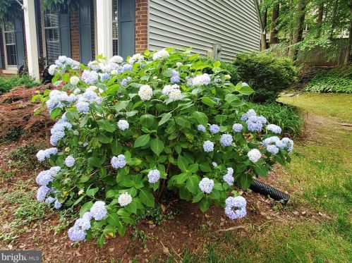 9305 Janphil Ln, Springfield VA  22153-3911 exterior