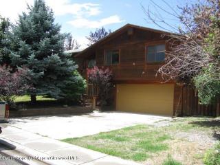 711 Latigo Loop, El Jebel, CO 81623-1590