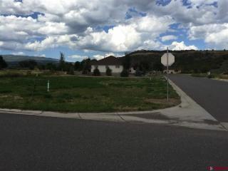 1025 Fairway Dr, Grand Mesa CO  81413-9535 exterior