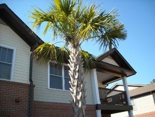 72 Heron Xing, Coosawhatchie SC  29936-6777 exterior