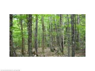 117 Sandy Acres Dr, Sullivan, ME 04664-3754