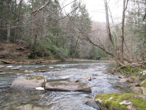 533 Kincaid Kingston Rd, Scarbro WV  25917-8395 exterior