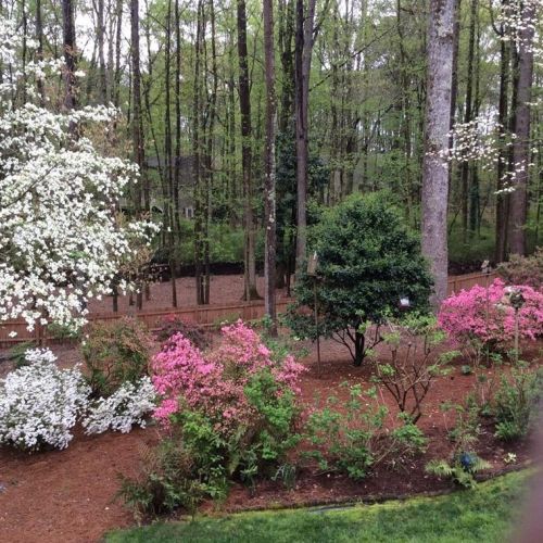 4279 Revere Cir, Marietta, GA 30062-5768