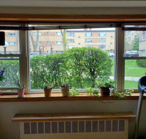 6128 Seeley Ave, Chicago, IL 60659-4323