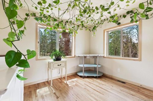 132 Wagon Tongue Rd, Bailey CO  80421-1057 exterior