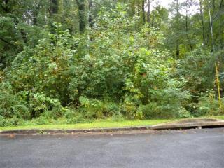 1317 Renee Dr, Decatur, GA 30035-1060