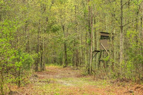 4488 Pond Town Rd, Brunson SC  29911-3801 exterior