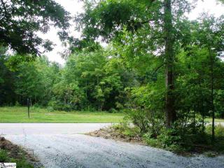 35 Darting Sparrow Way, Marietta, SC 29661-5150