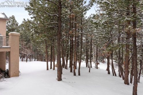 17539 Colonial Park Dr, Woodmoor CO 80132-2207 exterior