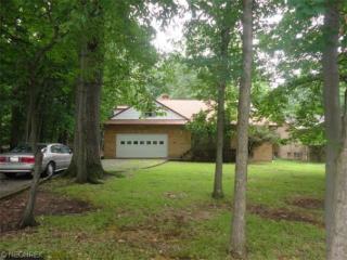 5009 Orch Park Dr, Cleveland OH  44134-4510 exterior