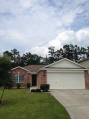 4627 Trinity River Ct, Spring TX  77386-3616 exterior