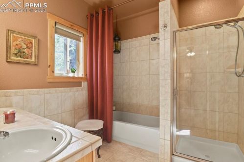 133 Elk Grove Ln, Woodland Park CO 80863-9171 exterior