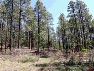 228 Ridge Top Cir, Vallecito, CO 81122-9222