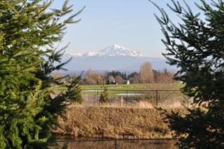 6278 Argyle St, Ferndale, WA 98248-8995