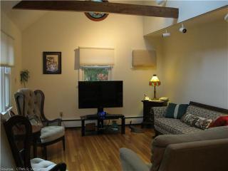 317 Burnt Hill Rd, Hebron CT  06248-1305 exterior