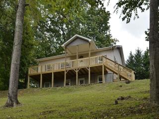 73 Rita Ln, Canton, NC 28716-6509
