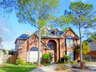 3519 Ashlock Dr, Houston TX  77082-5505 exterior