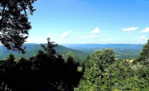 1075 Vineyard Point Rd, Sequatchie, TN 37374-6017