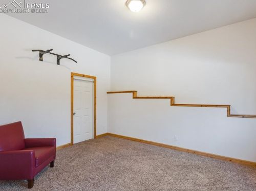 341 Panther Ct, Woodland Park CO exterior