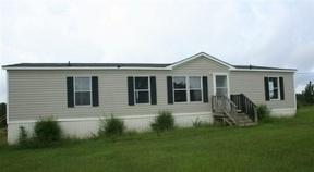 788 Ellis Rd, Elko, GA 31025-2314