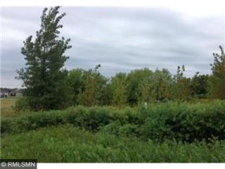 29395 Mary St, Lindstrom, MN 55045-9526